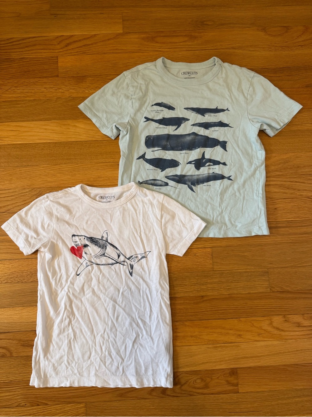 Crewcuts Whale & Shark Graphic Tees - Light Blue, White, Navy, Red